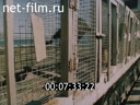 Footage frame