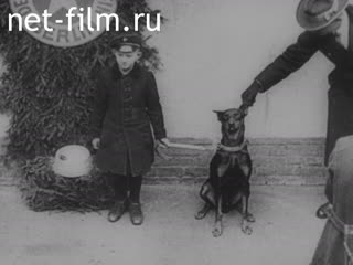 Newsreel Universal Newspaper Newsreel №25460 (1930)