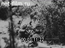 Footage frame