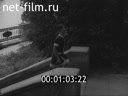 Кадр видео