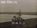 Footage frame