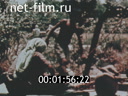 Footage frame