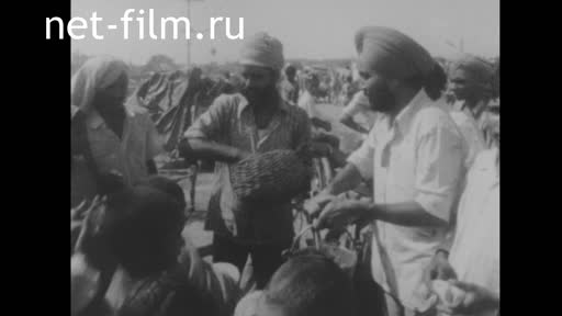 News Foreign newsreels №5770 (1978)