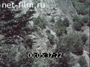 Footage frame