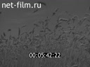 Footage frame
