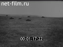 Footage frame