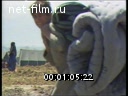 Footage frame