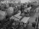 Кадр видео