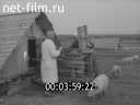 Кадр видео