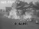 Кадр видео