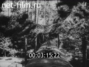 Footage frame