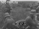 Кадр видео