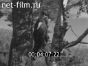 Кадр видео