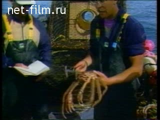 News Foreign news footages №40 (1989)